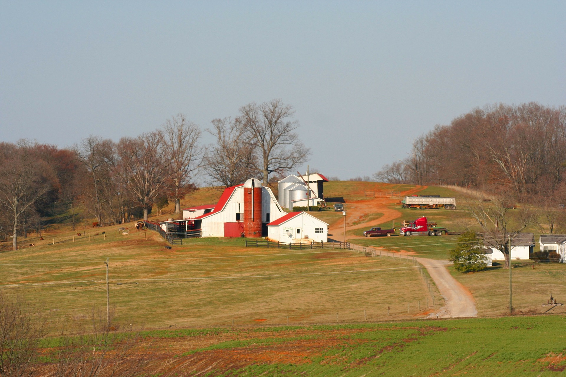 Obion County | Obion County