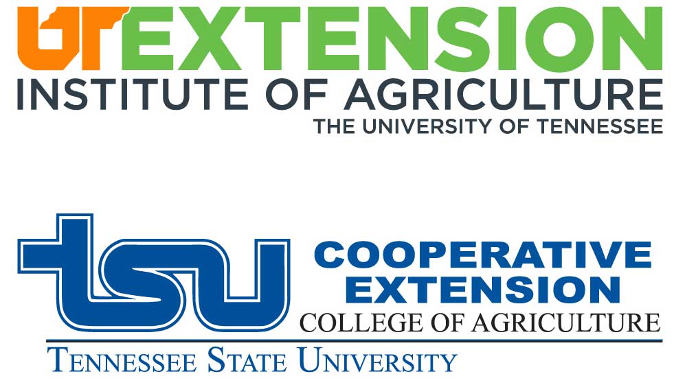 UT-Ex-TSU-logo